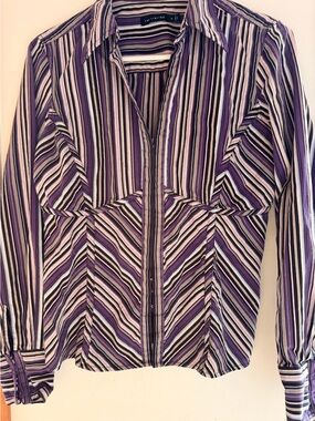 The Limited Striped Hook Eye Closure Blouse Size Medium
